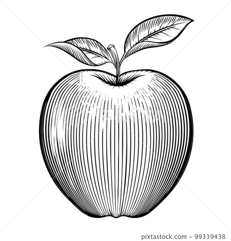 Vector engraving apple 99339438