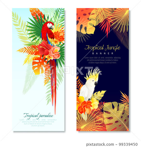 Tropical Parrots Vertical Banners Tropical Parrots Vertical Banners 99339450