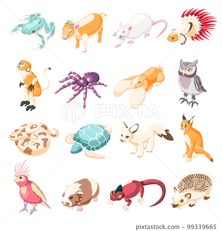 Exotic Pets Isometric Icons 99339665
