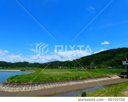 Blue sky, blue sea and park 99339788