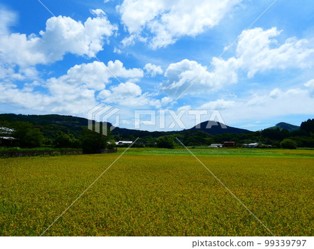 Blue sky, blue sea and park 99339797