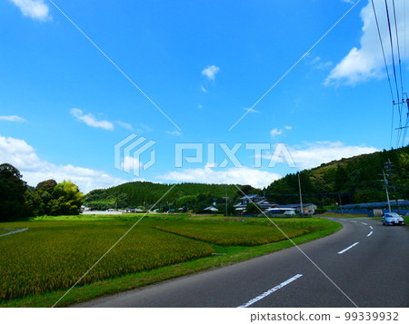 Blue sky, blue sea and park 99339932