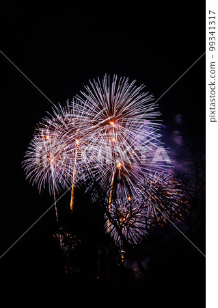 Nara Park Illumination Night Fireworks ⑯ Nara Park Illumination Night Fireworks ⑯ 99341317