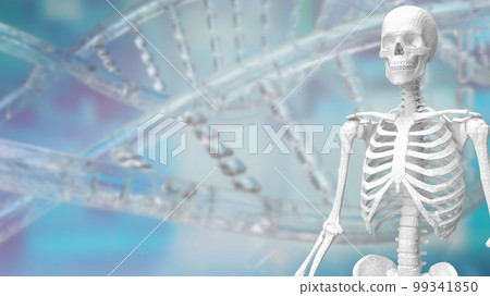 The skeleton on dna background for medical or sci concept 3d rendering 99341850