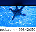 Starfish 99342050