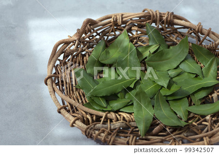 勞雷爾勞瑞爾 99342507