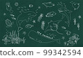 Blackboard _ chalk art style _ sea creatures 99342594