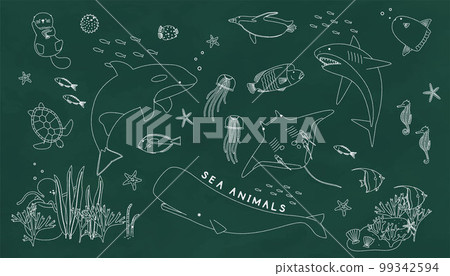 黑板_粉筆藝術風格_海洋生物 99342594