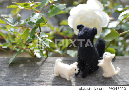 A white rose blooming in the garden and a wool felt dog 99342620