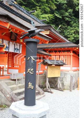 熊野那智大社八烏烏 熊野那智大社八烏烏 99342667