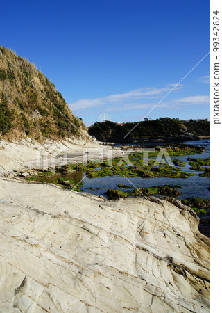 橫須賀市太陽山和荒崎/潮騷之道 99342824