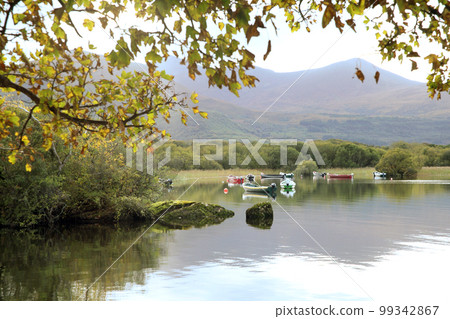 Killarney national park in Ireland  99342867