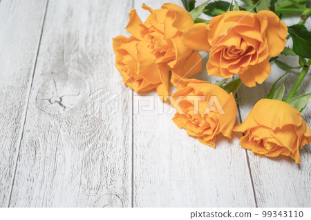 Orange rose flower close-up Background material Orange rose flower close-up Background material 99343110