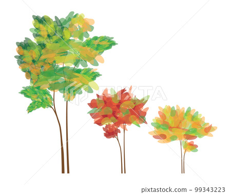 isolated tree on white background 99343223