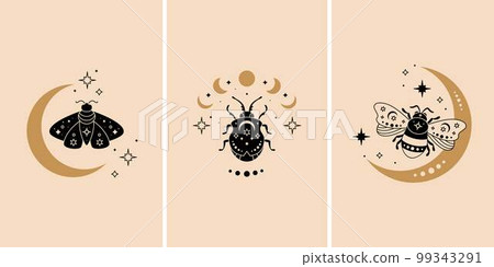 Boho celestial butterfly, bee and bug vector illustration set. Black magic insect Boho celestial butterfly, bee and bug vector illustration set. Black magic insect 99343291