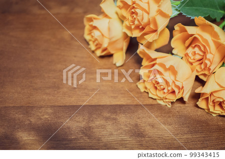 Orange rose flower close-up Background material 99343415