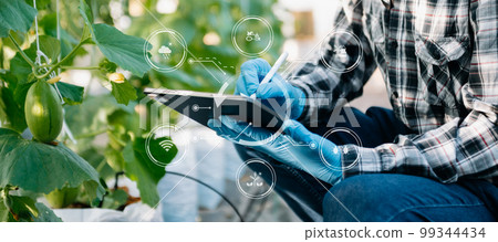 Smart farmer using application by tablet concepts modern vegetables and tomato at greenhouse. and visual icon. 99344434