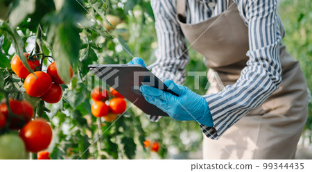 Asian woman agriculture uses production control tablets to monitor quality vegetables and tomato at greenhouse. Smart farmer using a technology for studying . 99344435