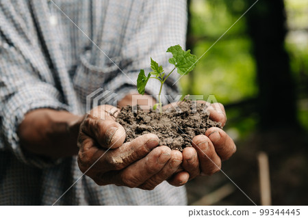 Man hands grabbing earth with a plant.The concept of farming and business growth.. 99344445