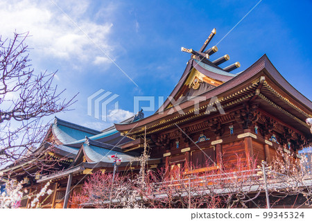 (Tokyo) Yushima Tenmangu with plum blossoms (Tokyo) Yushima Tenmangu with plum blossoms 99345324