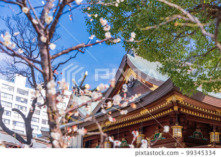 (Tokyo) Yushima Tenmangu with plum blossoms (Tokyo) Yushima Tenmangu with plum blossoms 99345334