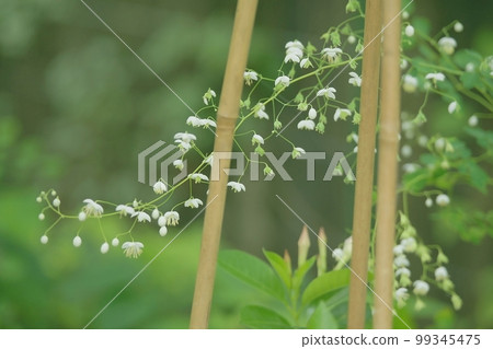 Talyktorum Delabai Talyktorum Delabai 99345475