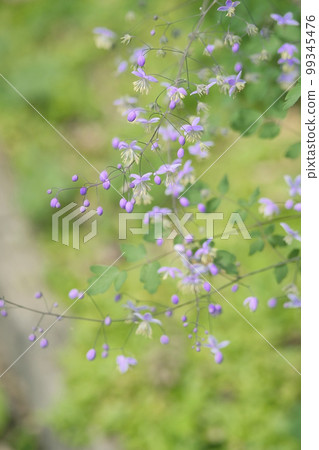 Talyktorum Delabai Talyktorum Delabai 99345476