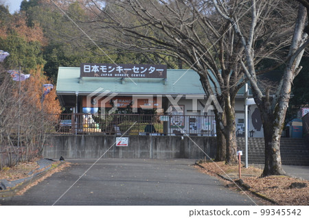 日本猴子中心 日本猴子中心 99345542