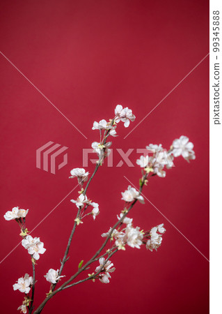 Sakura artificial flower red background 99345888