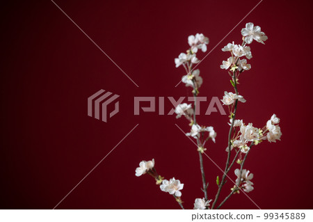 Sakura artificial flower red background Sakura artificial flower red background 99345889