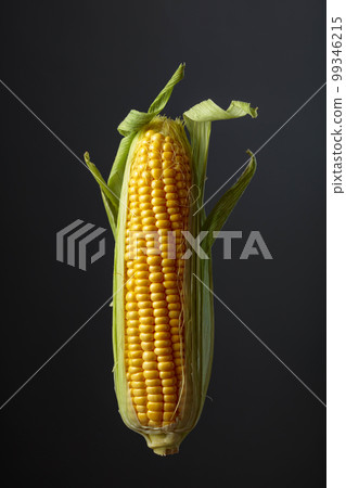 Corn on cobs on a dark background. 99346215