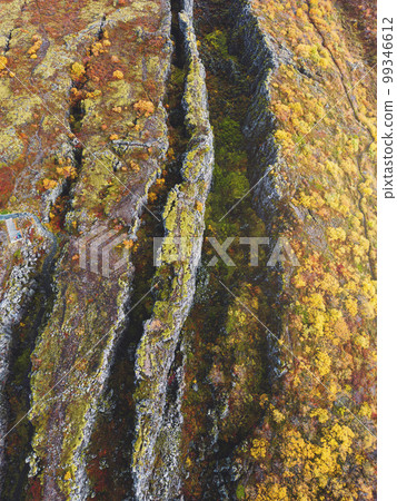 Autumn colors in Thingvellir National Park, in Iceland 99346612