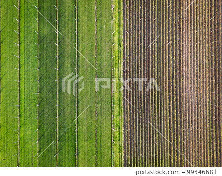Birdseye view of agricultural fields, half covered in green crops and other in dirt 99346681