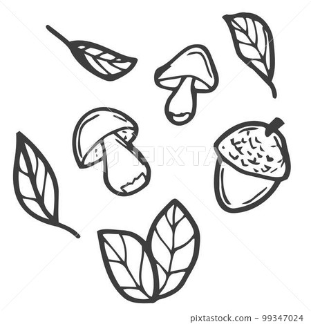 Autumn doodle set on a white background. Black and white vector illustration of an autumn set of acorns, leaves and mushrooms. Isolated objects for print, coloring, decoration. Autumn doodle set on a white background. Black and white vector illustration of an autumn set of acorns, leaves and mushrooms. Isolated objects for print, coloring, decoration. 99347024