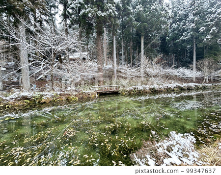 Monet's pond snow scene 99347637