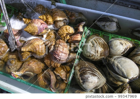 冬天的小樽 海鮮 冬天的小樽 海鮮 99347969