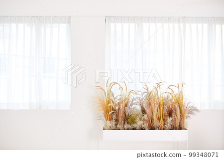 autumn potted plant autumn potted plant 99348071