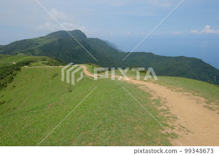 桃源谷大草原 桃源谷大草原 99348673