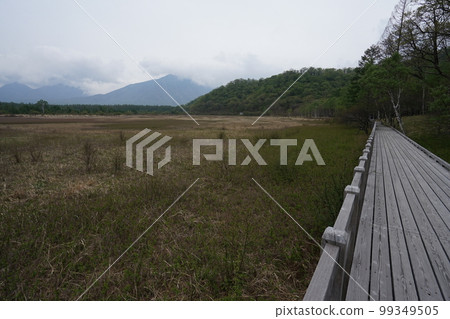 2019 年 6 月 2 日在 Odashirogahara 的 Senjogahara,Nikko City Boardwalk 長廊 2019 年 6 月 2 日在 Odashirogahara 的 Senjogahara,Nikko City Boardwalk 長廊 99349505