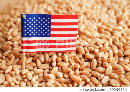 USA America on grain wheat, trade export and economy concept. 99349834