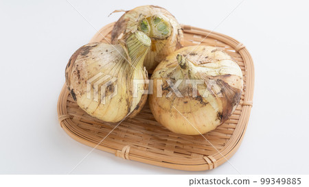 新洋蔥 新洋蔥 99349885