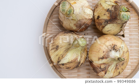 新洋蔥 99349886