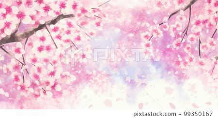 Scenery of cherry blossom petals, background, photo-style illustration, new life, entrance, graduation 99350167