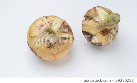 New Onion 99350238