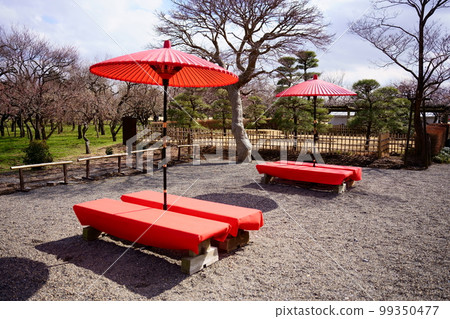 偕樂園梅花祭休息處 99350477