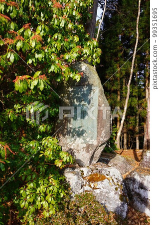 Mitsumine Shrine Shrine Chichibu Sansha Stone Monument 99351695