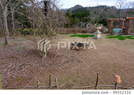 Rosanberry Tawada，一個等待春天的冬季英式花園 99352310