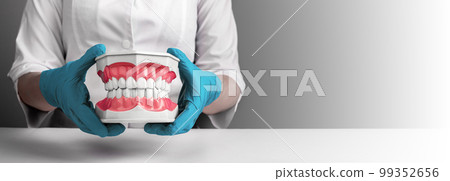 Dentist with healthy clean teeth model. Ads banner, background for dentistry, healthcare 99352656