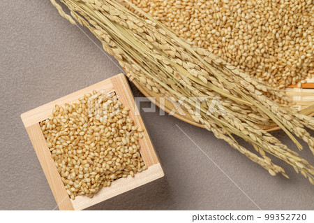 米飯（糙米） 99352720