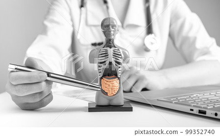 Doctor showing intestines at 3d human model with internal organs. Woman in lab coat sitting at table with laptop. Anatomy and medical education concept. Black and white Doctor showing intestines at 3d human model with internal organs. Woman in lab coat sitting at table with laptop. Anatomy and medical education concept. Black and white 99352740